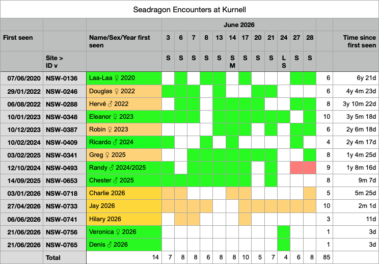 Kurnell Seadragon Encounters - June 2026